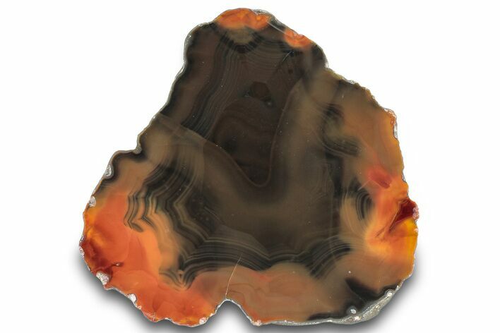 Colorful, Polished Condor Agate - Argentina #290913
